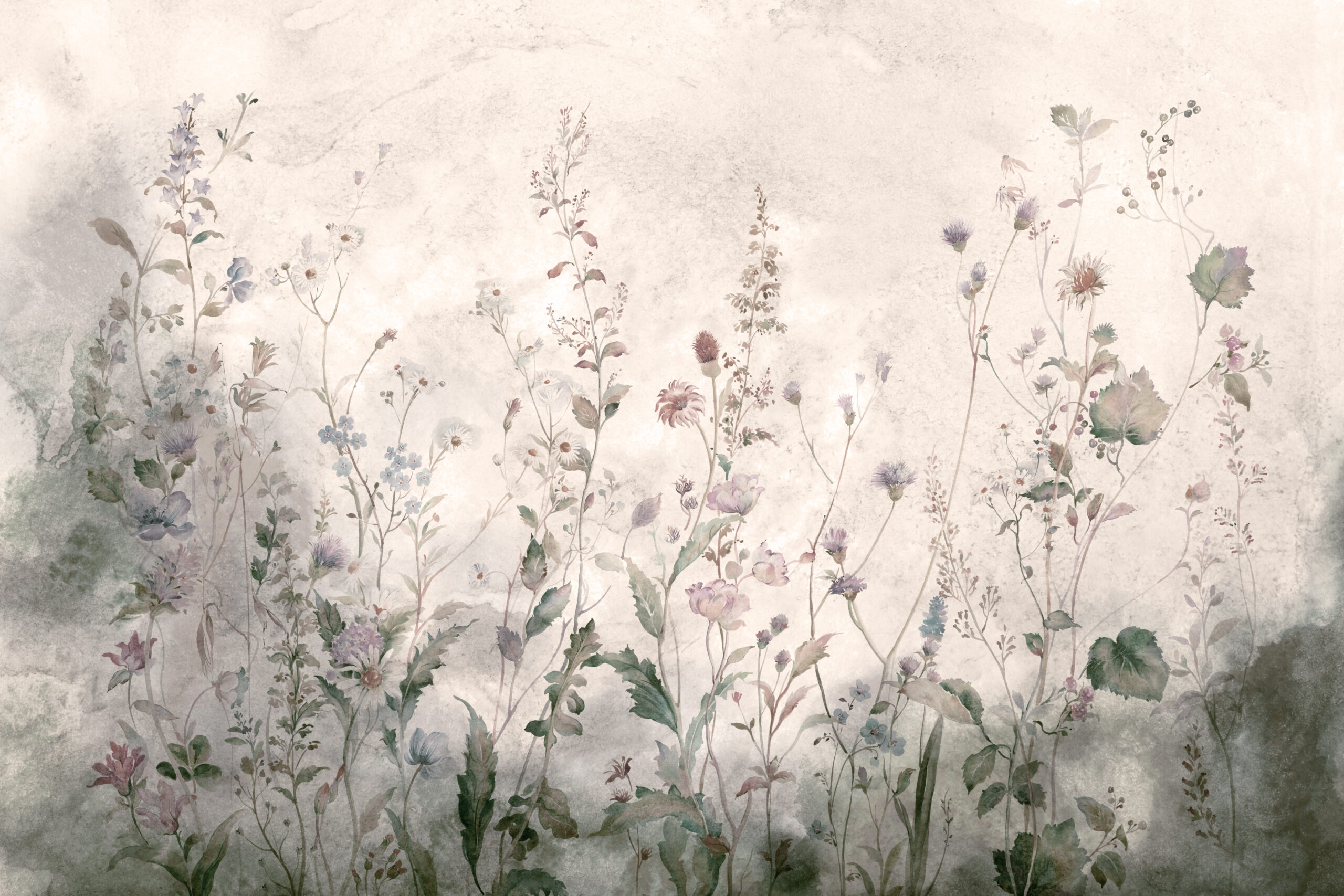 243760582112_-scaled