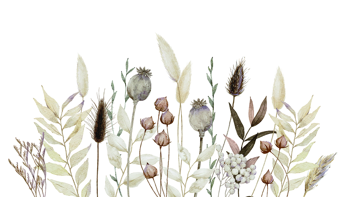 Foto murale Delfinët e Fjetur - Figura 33