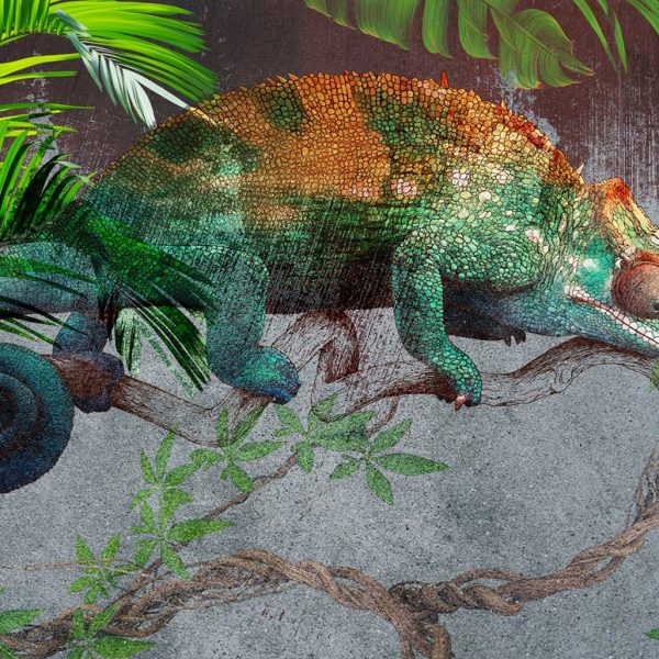 Foto murale Kameleoni i Gjelbër