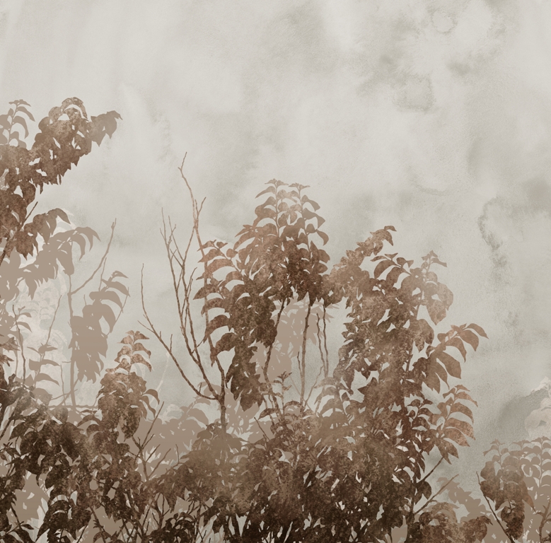 Fototapeta-Braz-Roslin-We-Mgle_2044724723