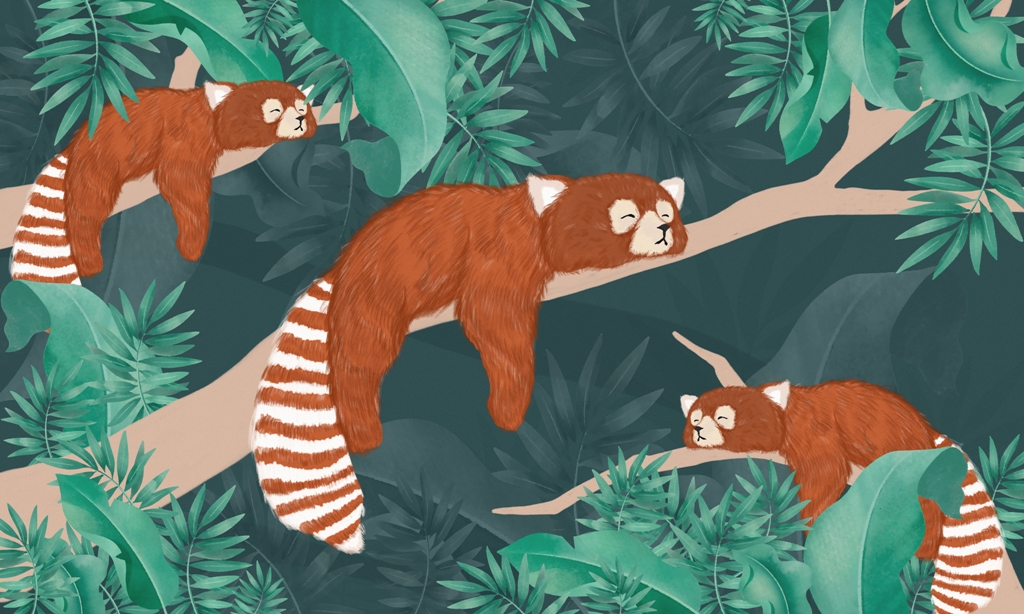 Fototapeta-Brazowe-Lemury_2249441011-1