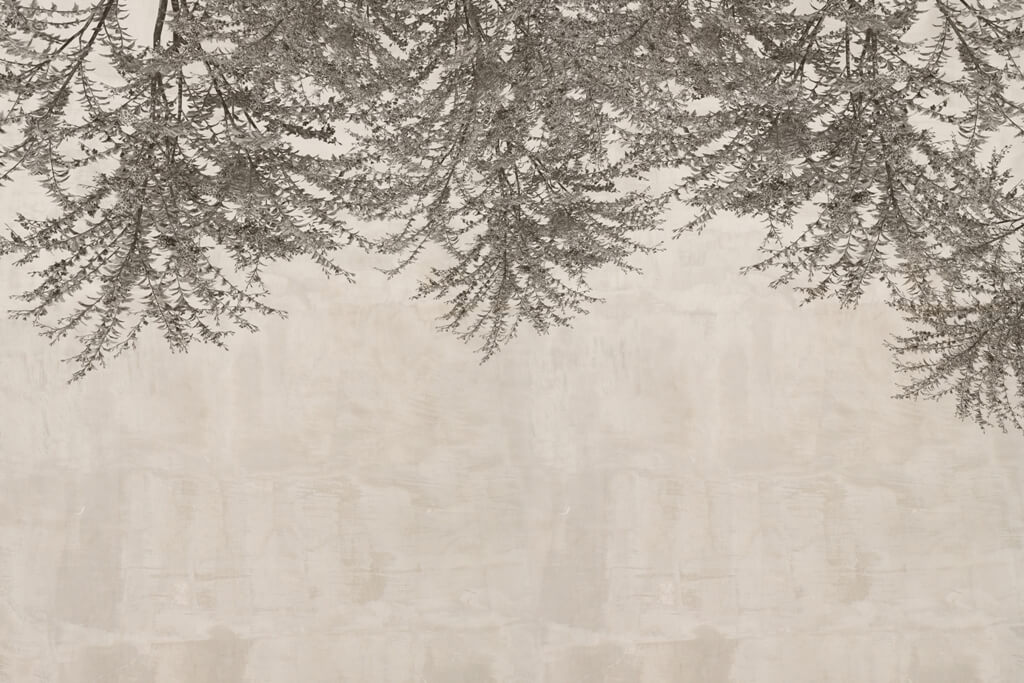 Fototapeta-Ciemne-Gae¦uzki_2079287608