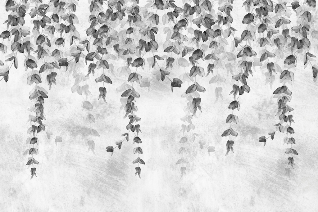 Fototapeta-Ciemne-Galazki_2079287617-1