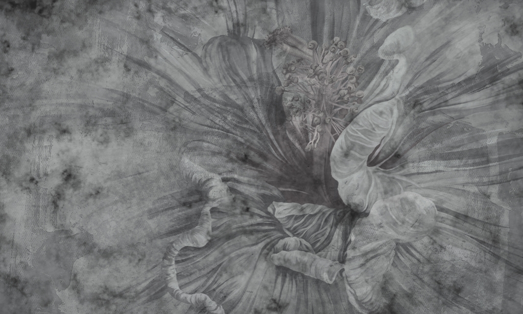 Fototapeta-Ciemny-Kwiat_2140070315-1