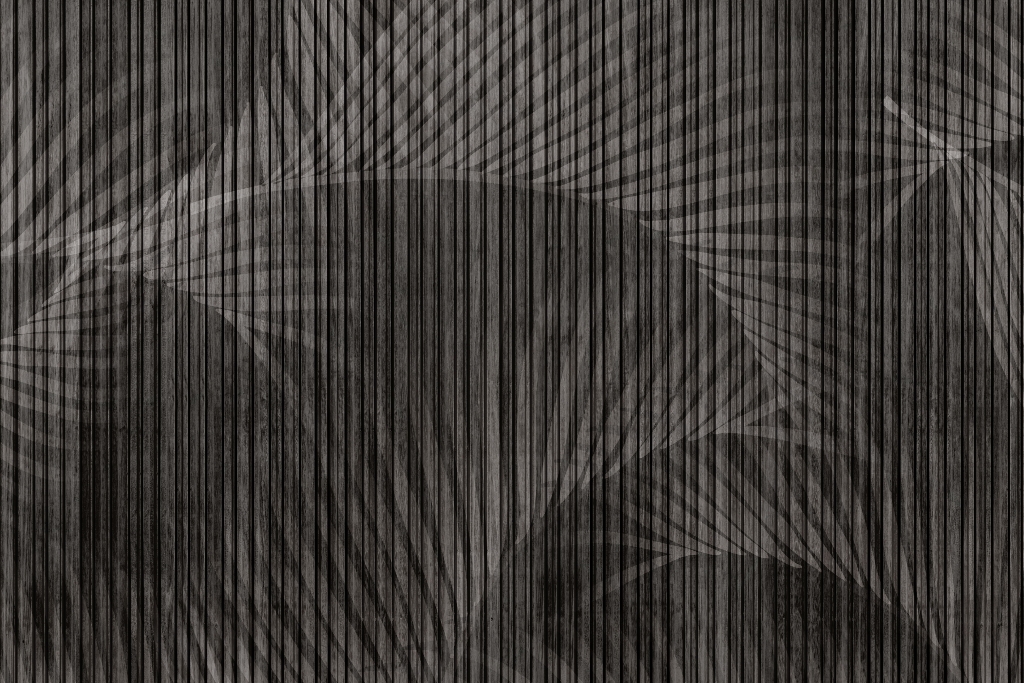 Fototapeta-Czarne-Pasy_2241495945-1