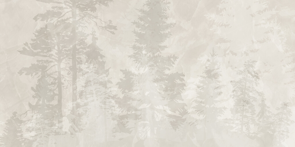 Fototapeta-Drzewa-Za-Mge¦u_2229281119