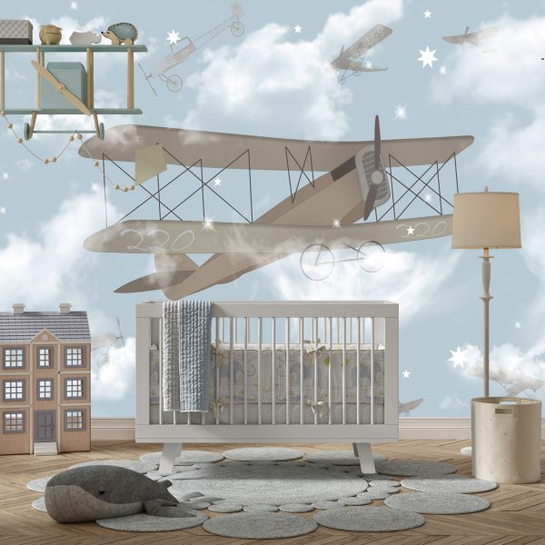 Foto murale Biplan në mjegull