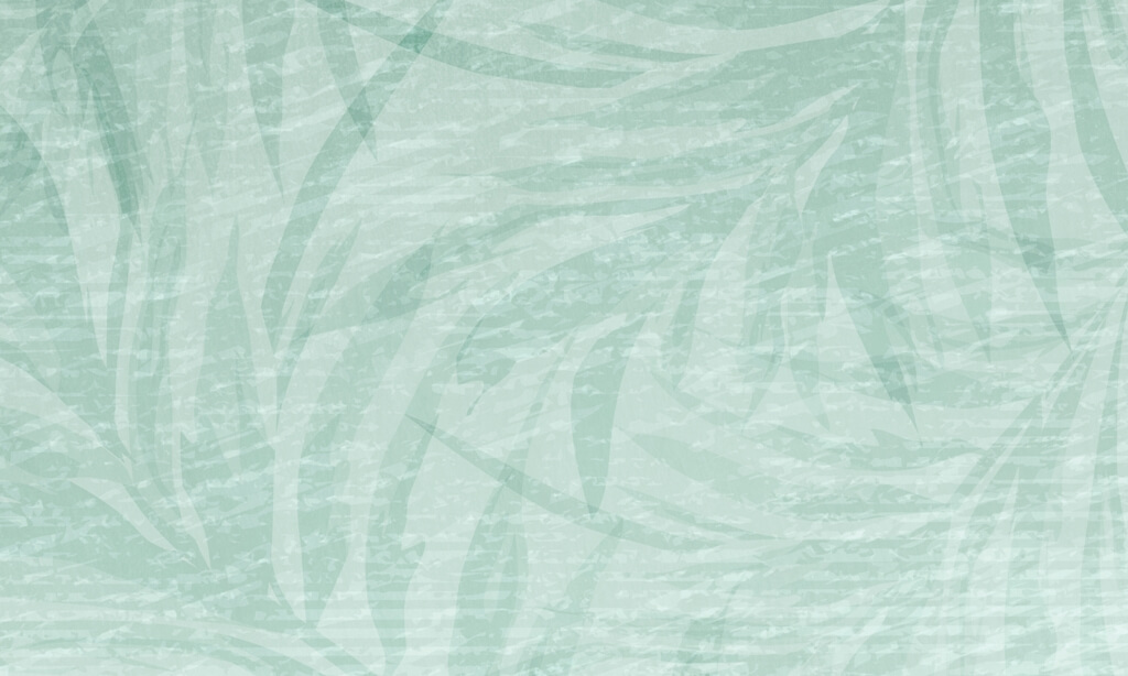 Fototapeta-Jasna-Zielea_2268823777-1