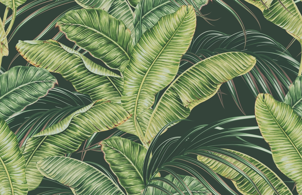 Fototapeta-Jasnozielone-Liscie-Egzotyczne_2064045896-1