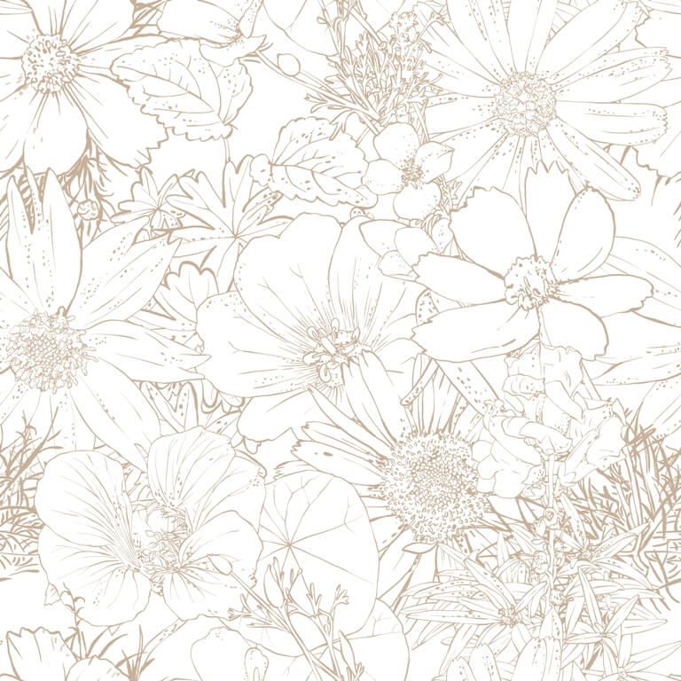 Fototapeta-Kontury-Kwiat-w_2249689751