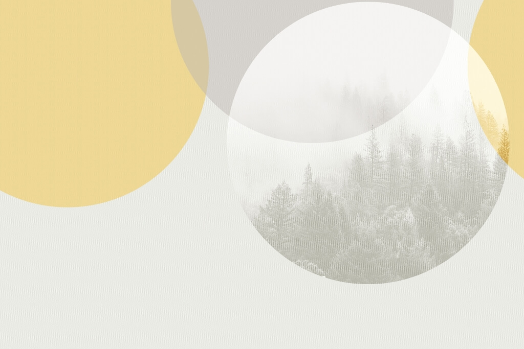 Fototapeta-Las-Zamkni¦Oty-w-Kole_2191800493