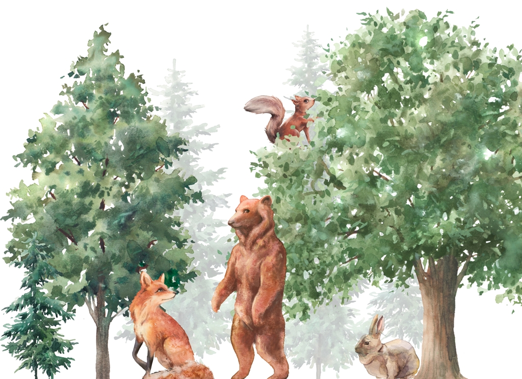 Fototapeta-Lesna-Zwierzyna_2207467783-1