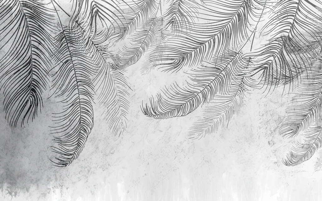 Fototapeta-Liscie-Czarnej-Palmy_2370174511-1