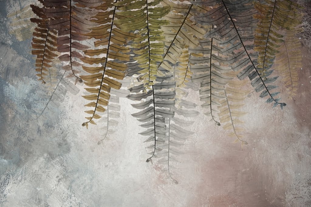 Fototapeta-Liscie-Paproci_2082355765