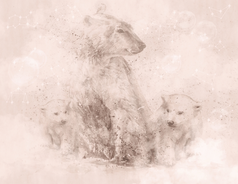 Fototapeta-Niedzwiedzia-Rodzina_2271263955-1