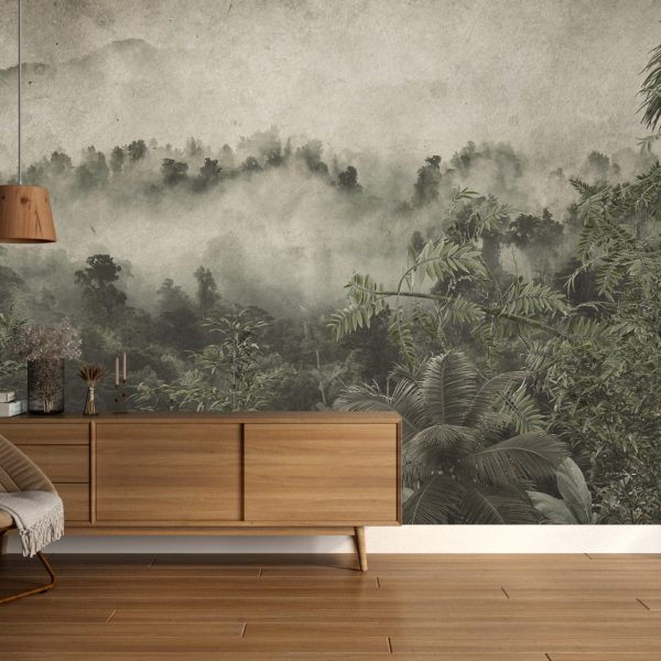 Foto murale Mjegull e trashë që bie