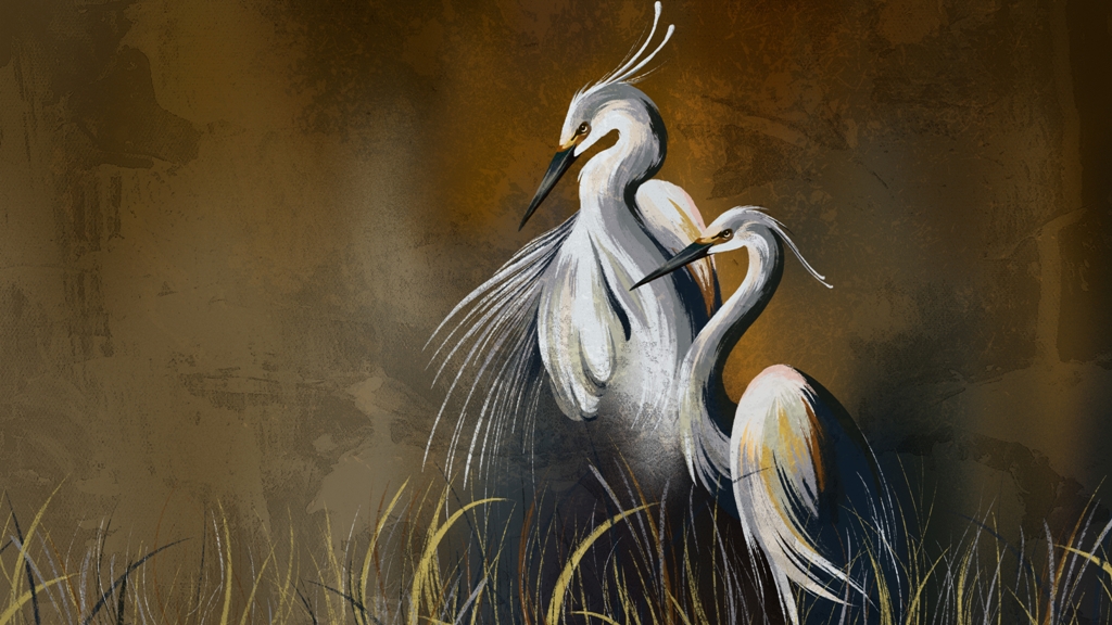 Fototapeta-Para-Dzikich-Zurawi_2260387505-1