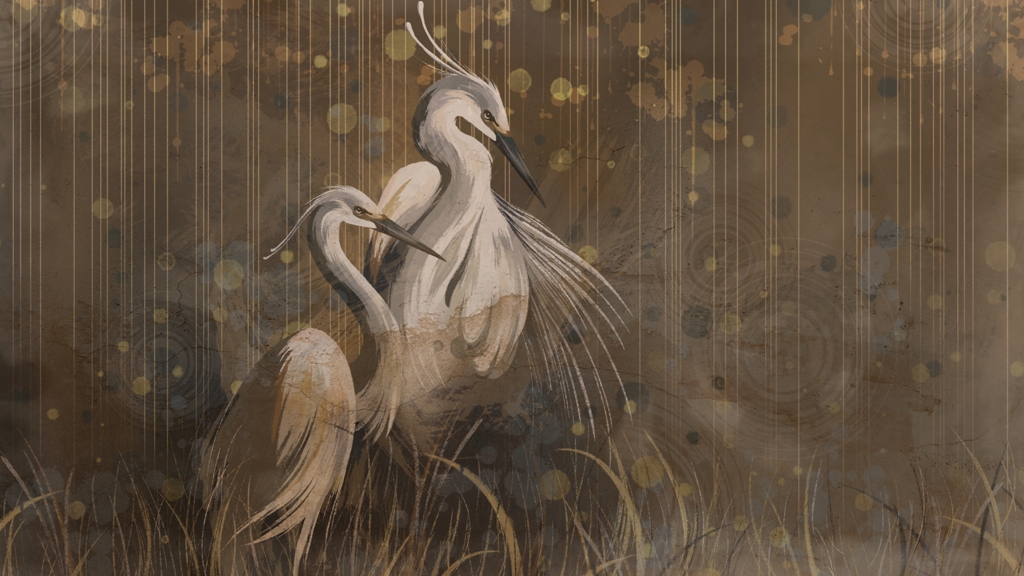 Fototapeta-Para-Zurawi_2260372035