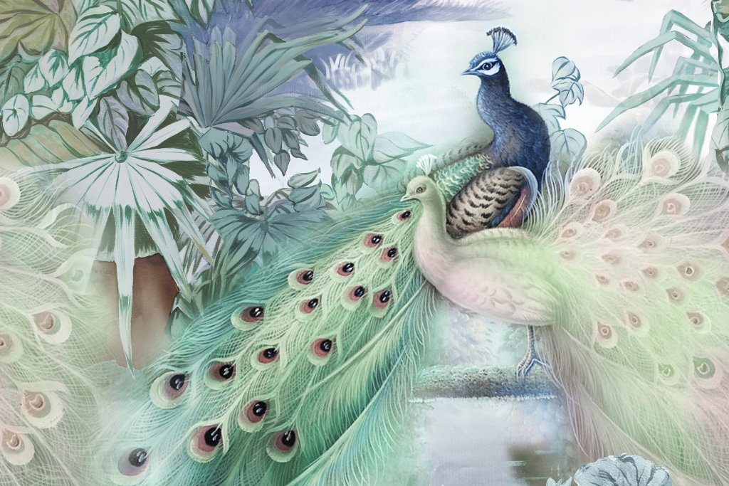 Fototapeta-Pawie-Piekno_2236466133-1