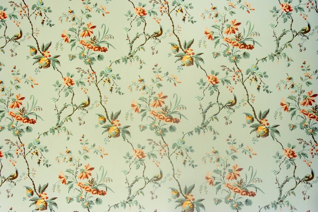 Fototapeta-Pomaraaczowe-Kwiatki_233016973