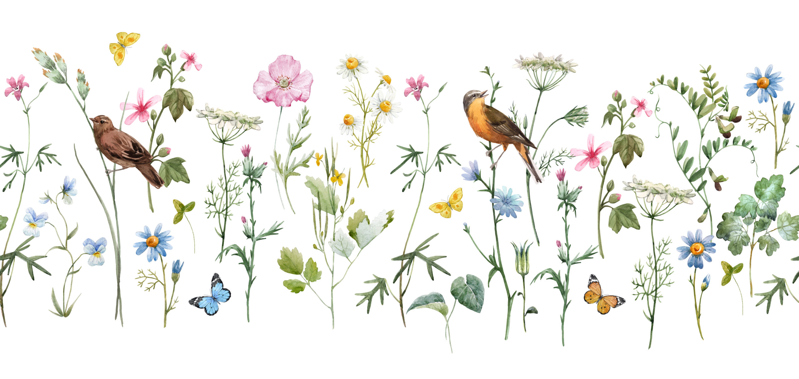 Delicate,Floral,Horizontal,Pattern,,Meadow,Flowers.,Bird,,Chamomile,,Poppy,And