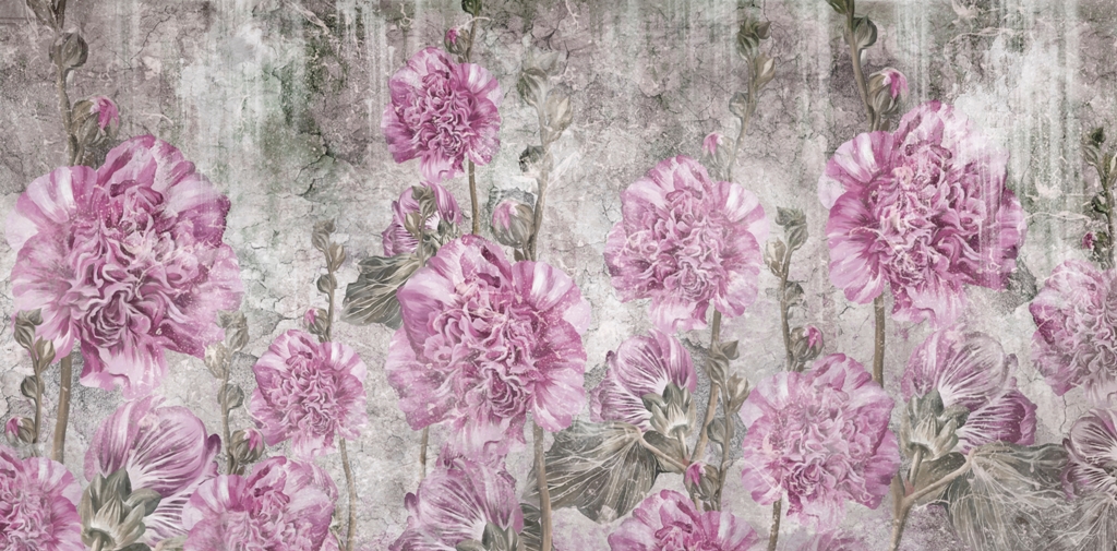 Fototapeta-Rozowe-Gozdziki_2065503320