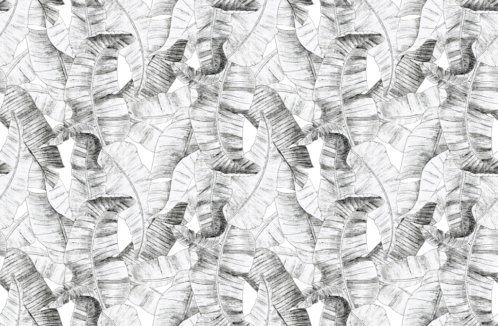 Fototapeta-Rysowane-Liscie-_1853669773