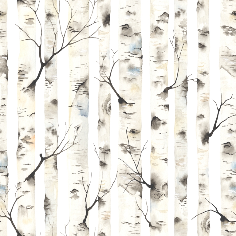 Fototapeta-Sciana-Brzozowego-Lasu_1797899485-1