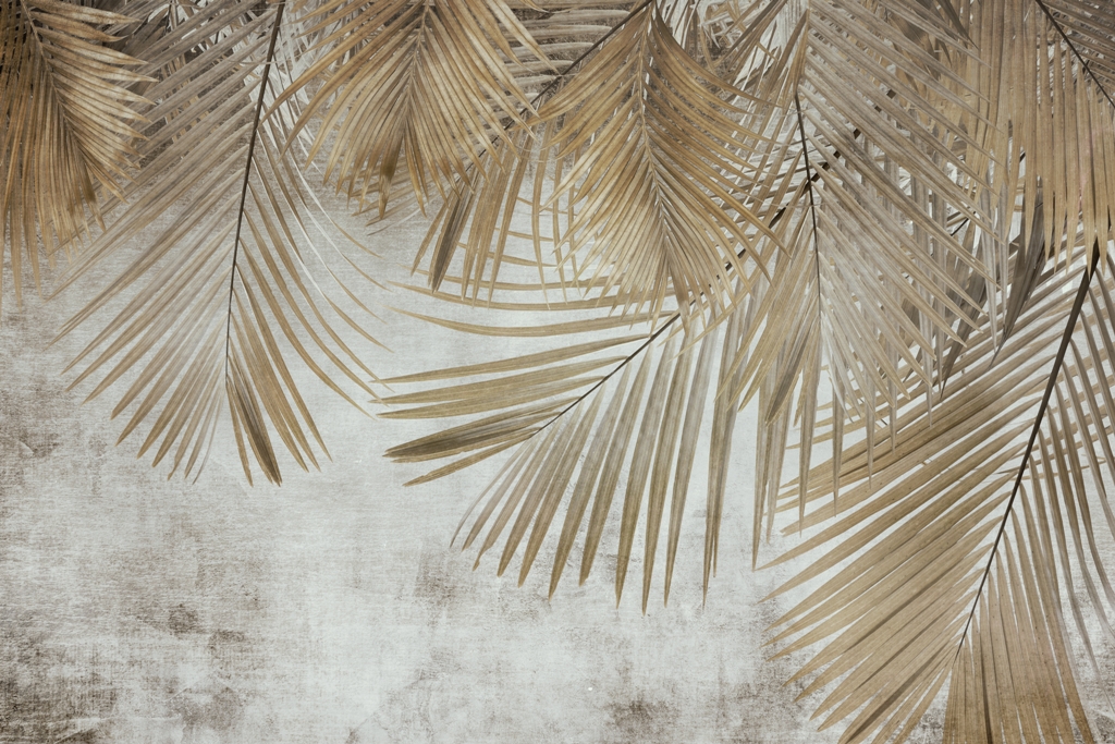 Fototapeta-Sciana-Zaslonieta-Liscmi_-2214735163