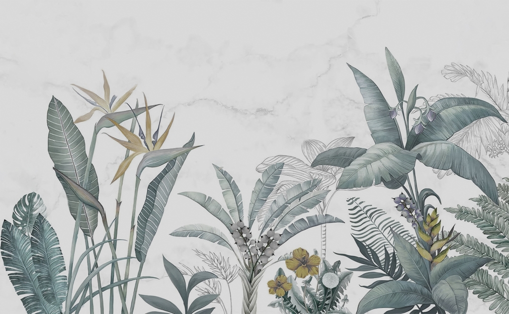 Fototapeta-Strelicja-Bez-Koloru_2332113905-1