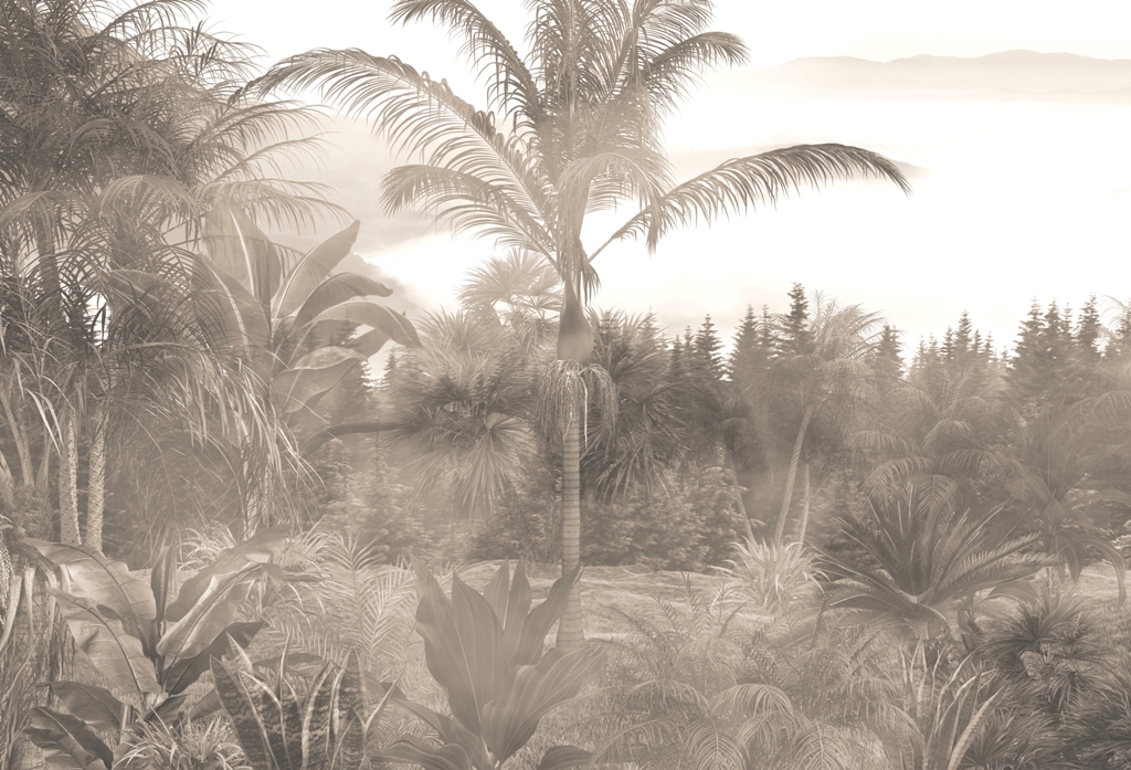 Fototapeta-Wysoka-Palma-We-Mgle_2199726117-1