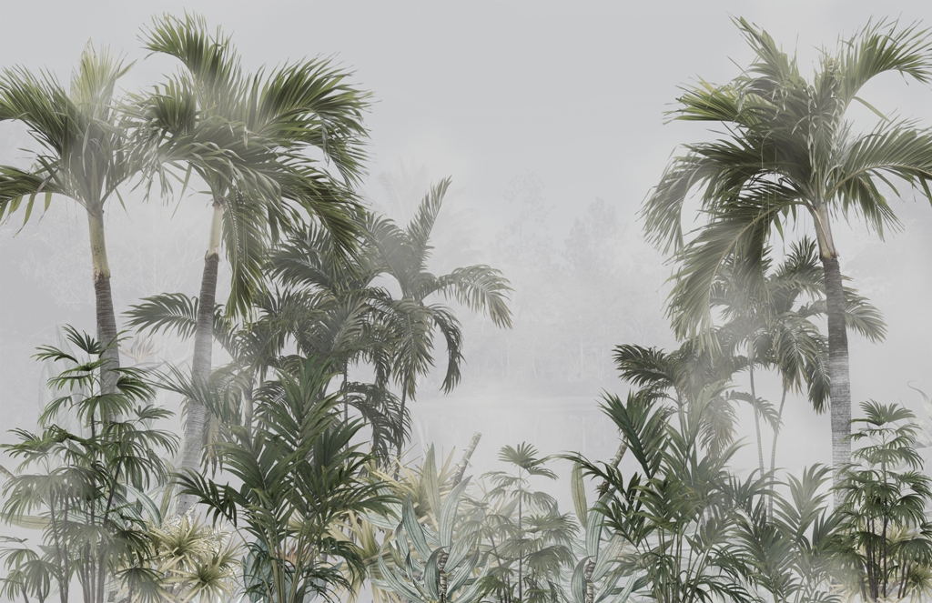 Fototapeta-Wysokie-Palmy-We-Mgle-_2078677705-1