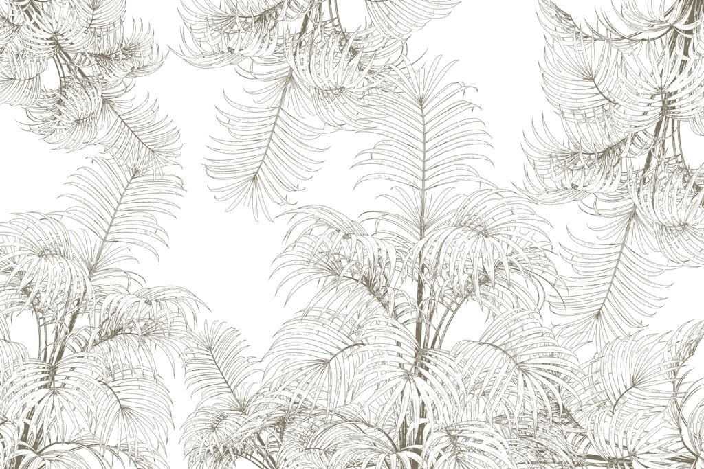 Fototapeta-Zarys-RoTlinny_2313194461