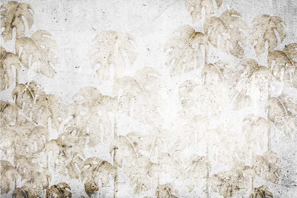 Fototapeta-Zniszczona-Monstera_2221154433-1