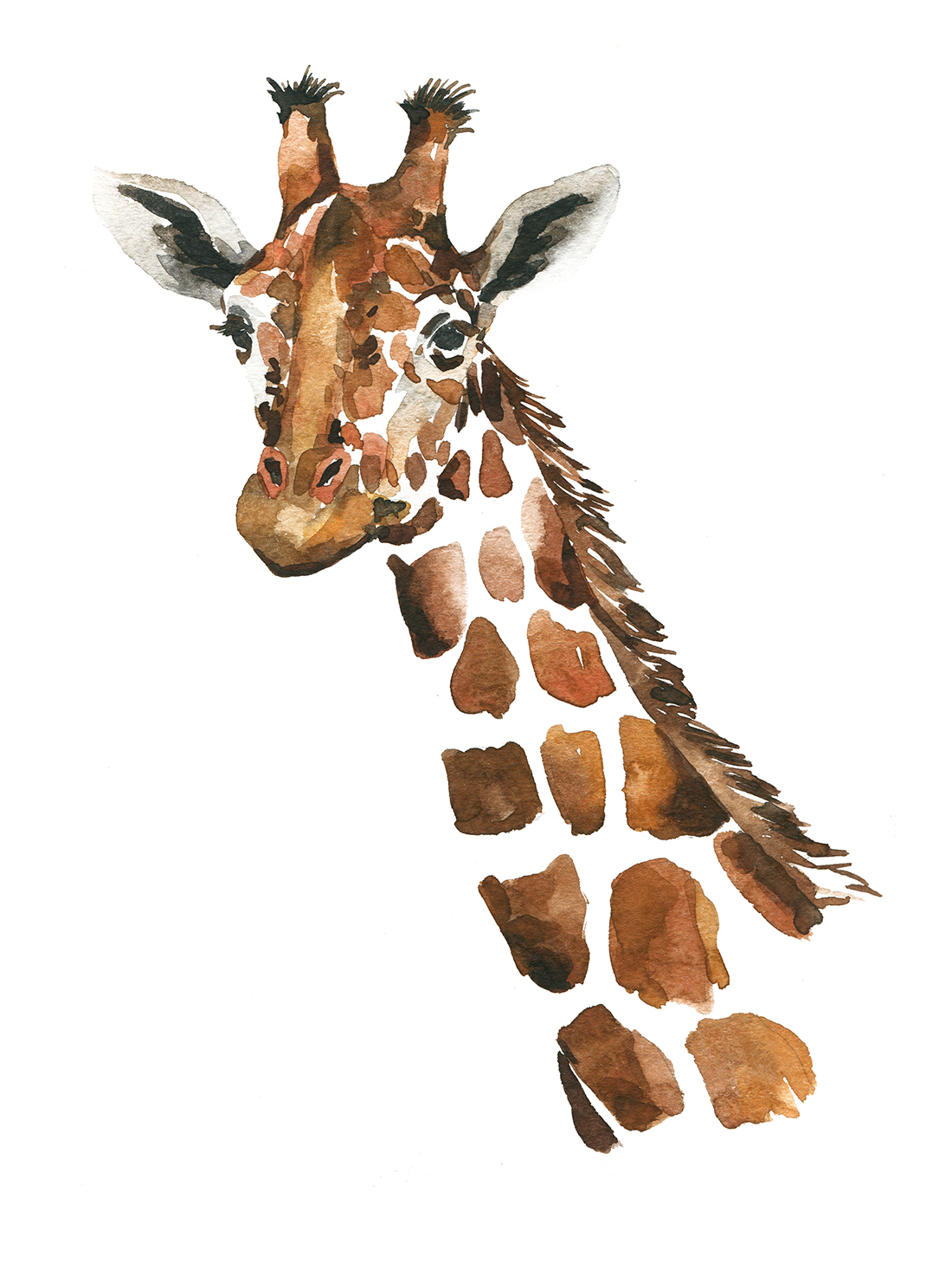 Watercolor,Illustration,Of,A,Giraffe.,The,Muzzle,Of,The,Animal.