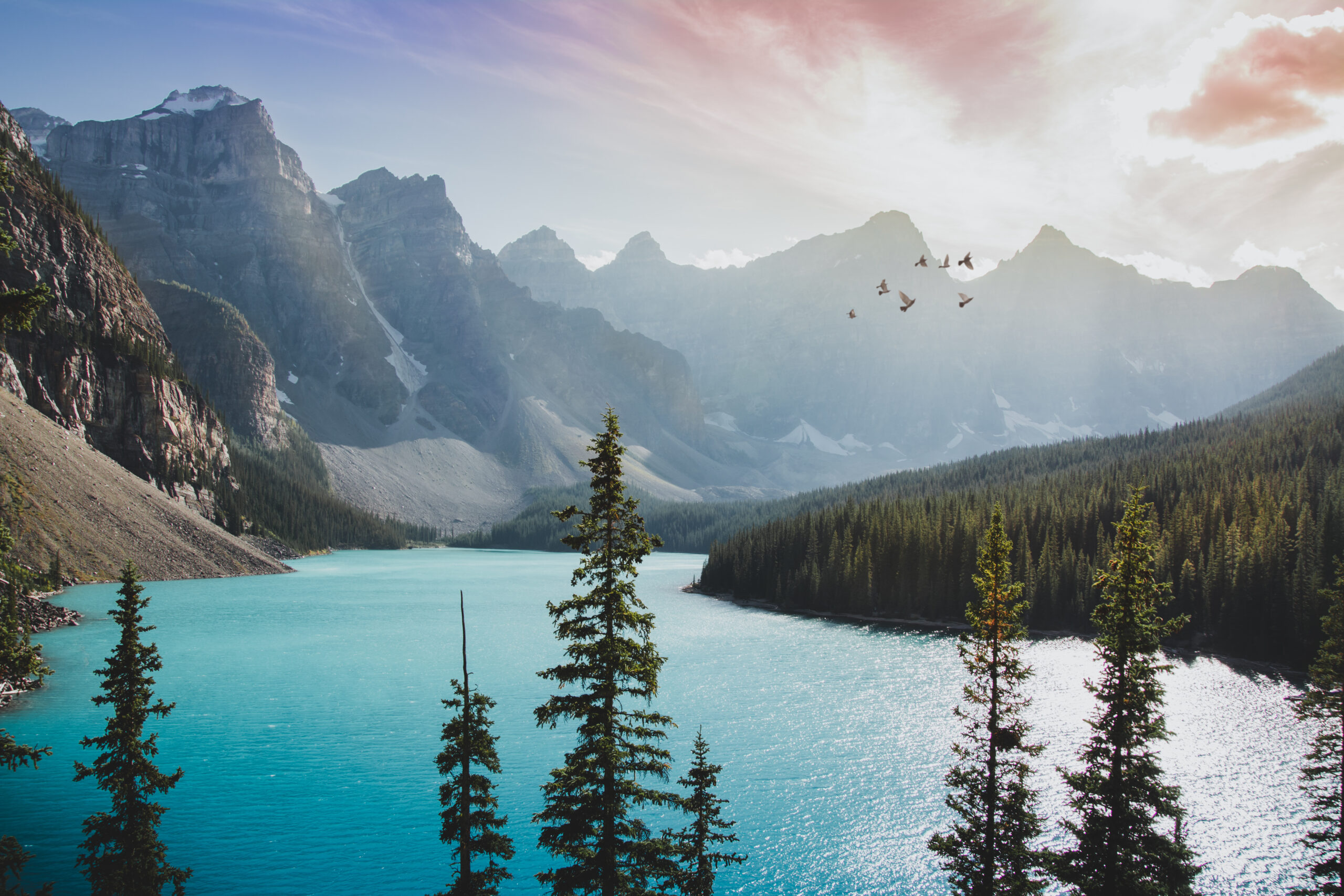 Moraine,Lake,Canada,Sunset,Birds,Flying