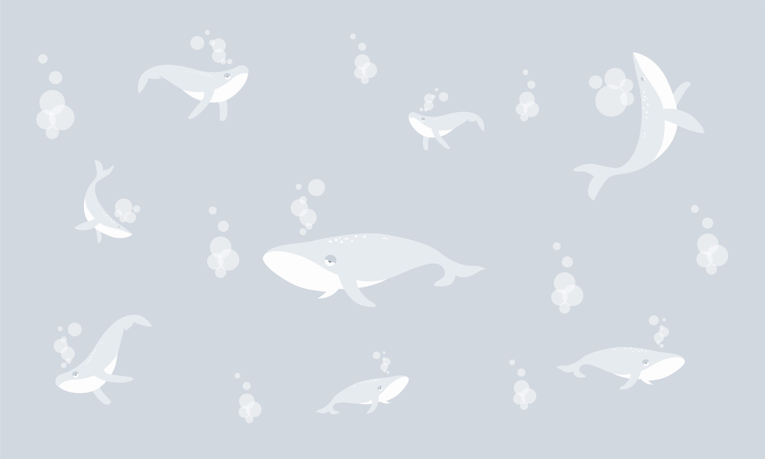 Beautiful,Under,The,Sea,Whale,Pattern,With,Bubble,Water,.