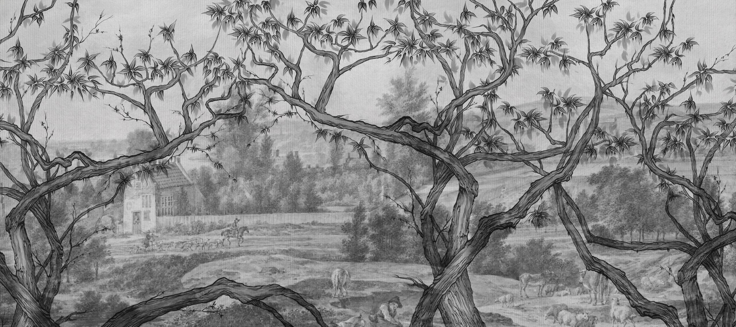 Trees,Climbing,Liants,,Leaves,,Nature,,Photo,Wallpapers,In,The,Room