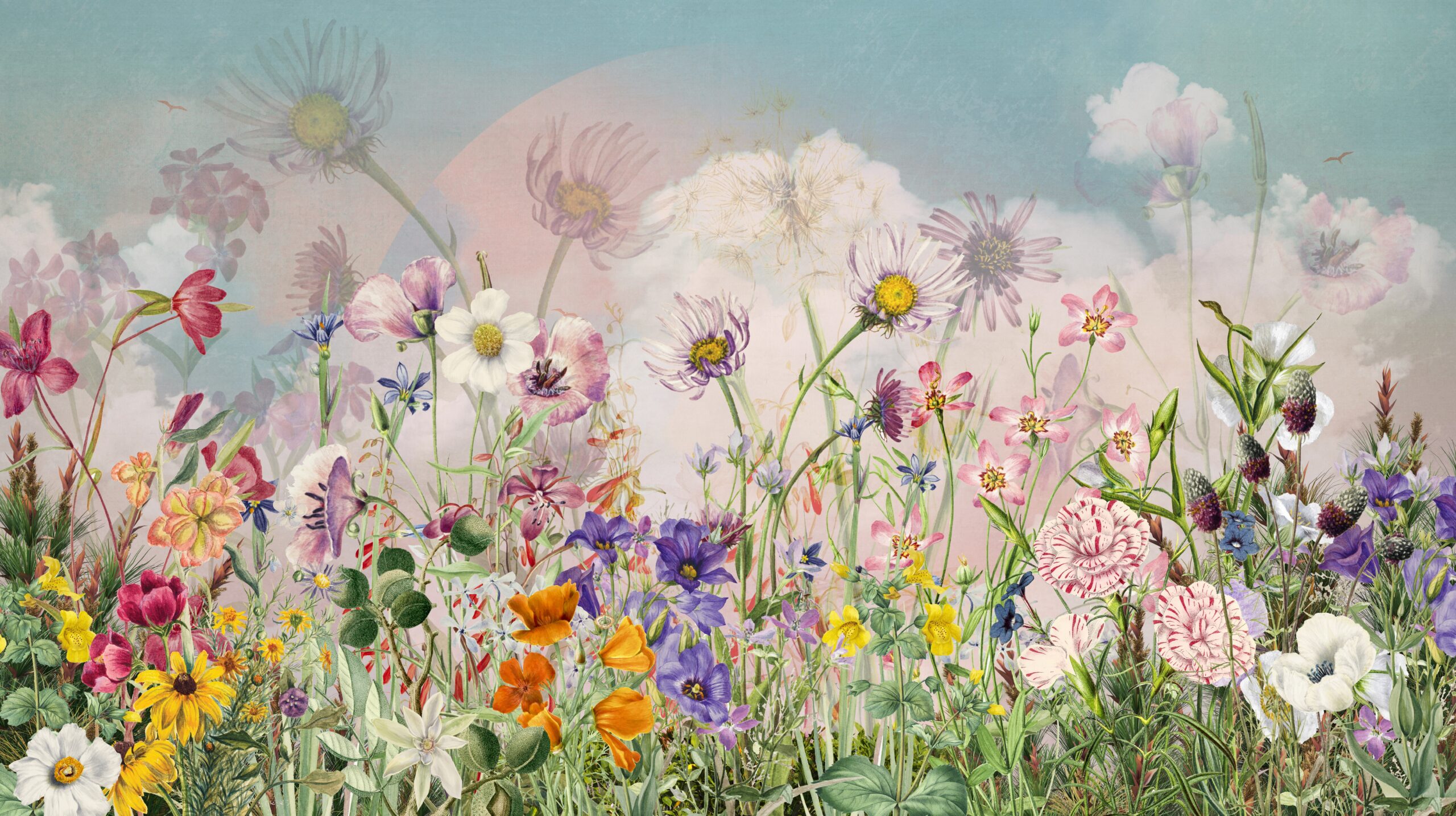 Foto murale Livadh shumëngjyrësh - Figura 3