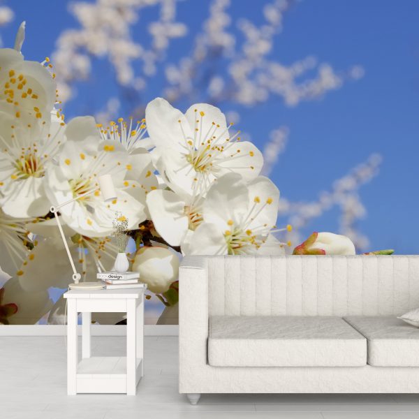 Foto murale Pemë që çelin