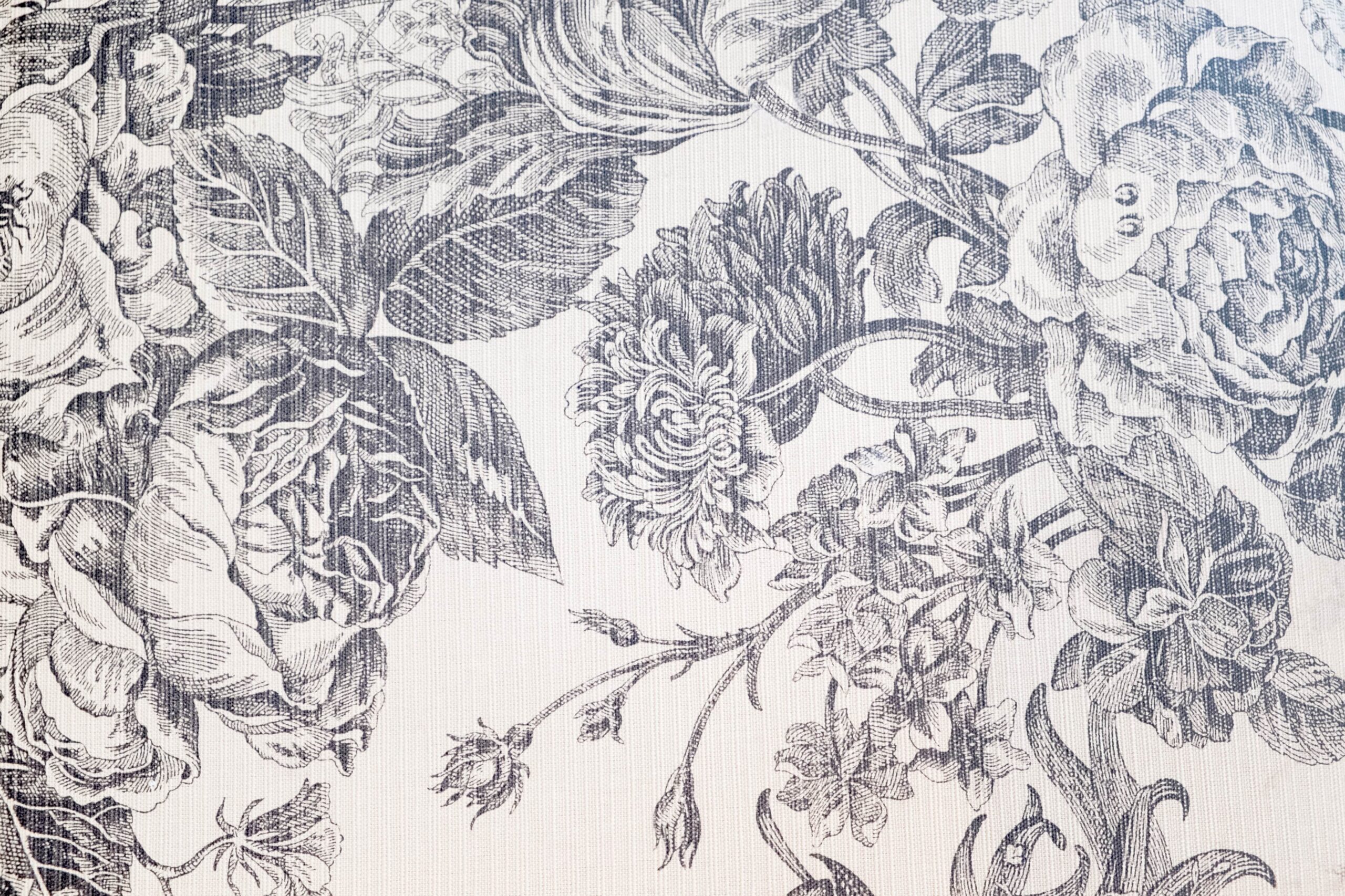 AdobeStock_155010940-scaled-1