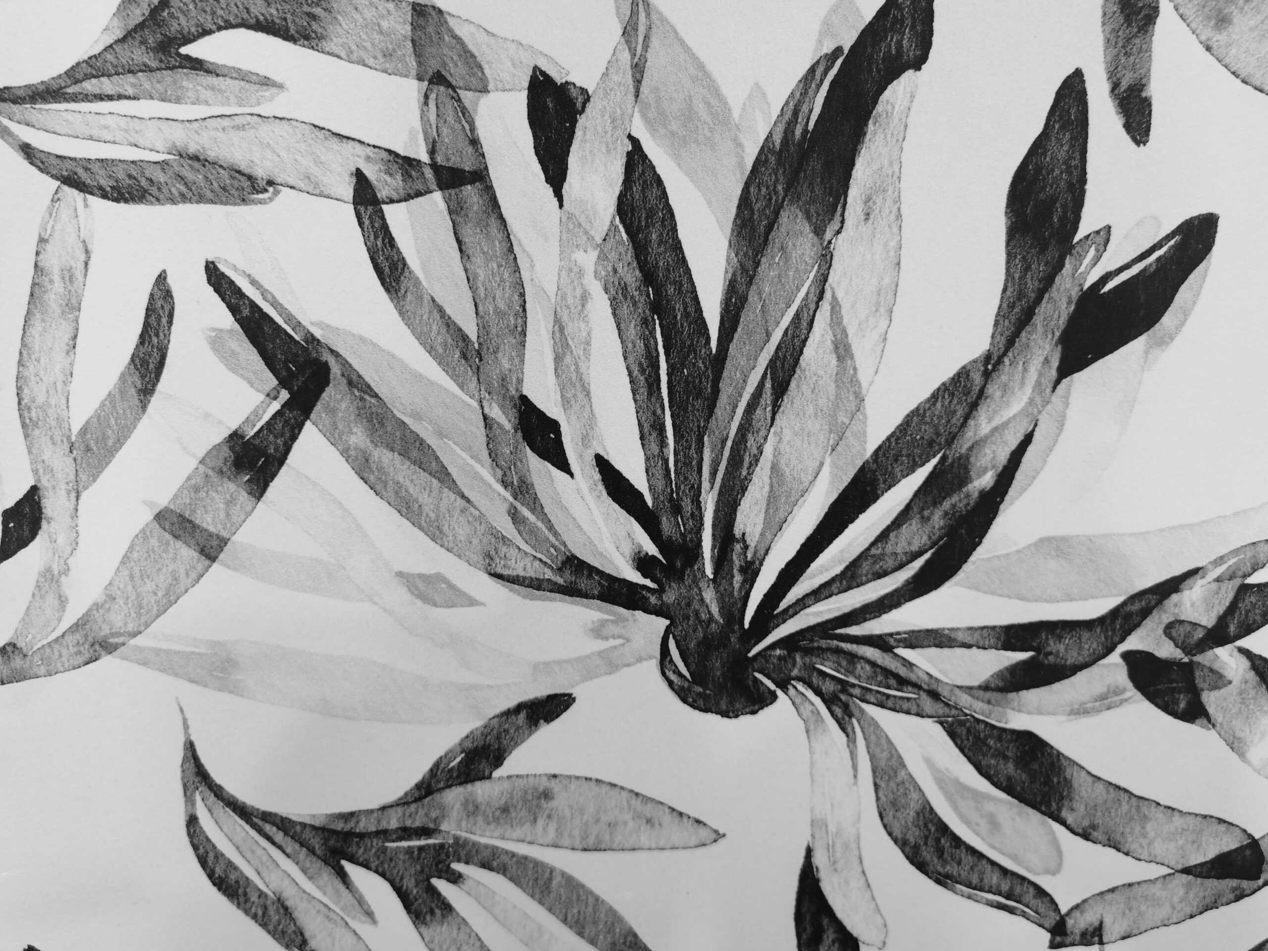 AdobeStock_367791230-scaled-1