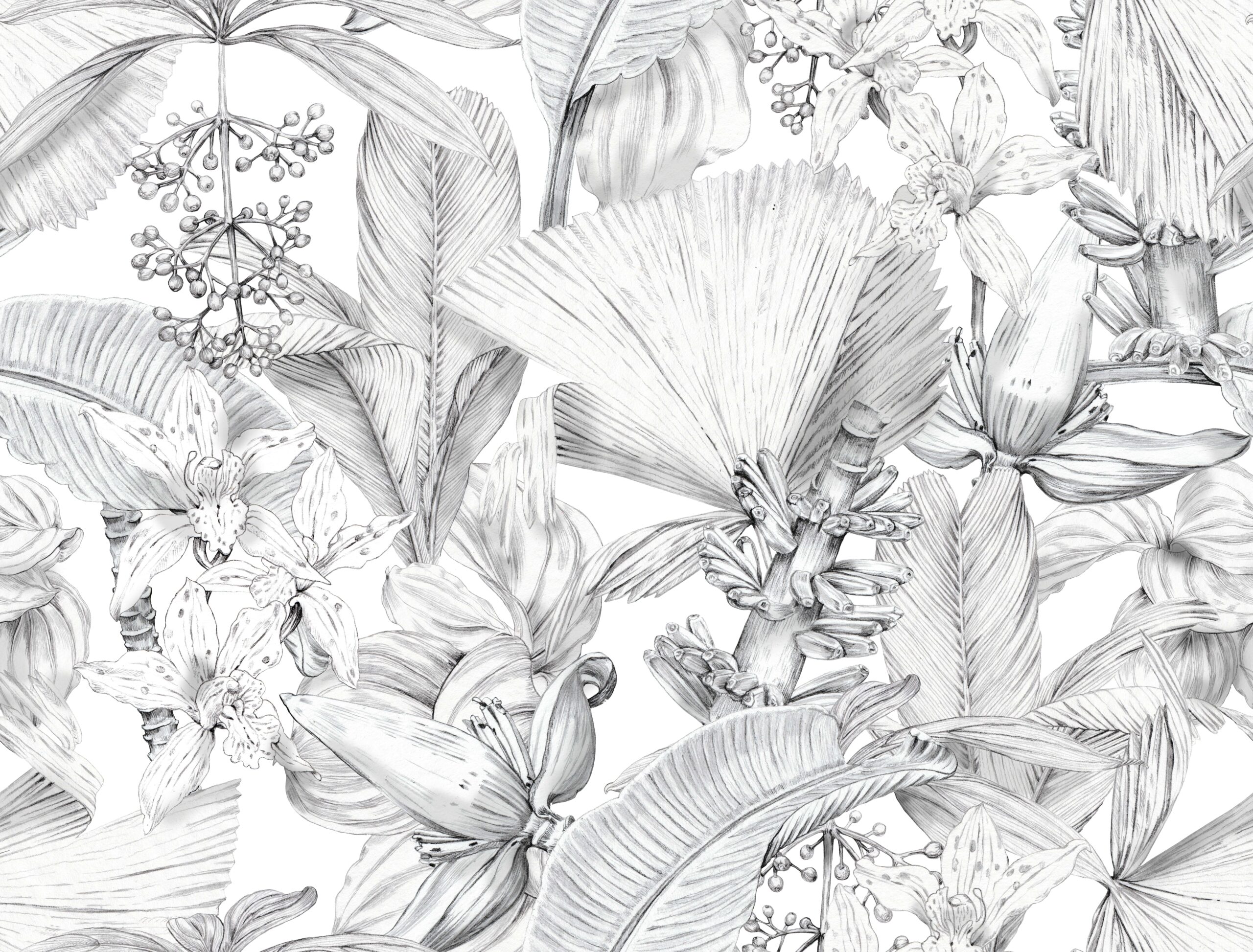 AdobeStock_767576210-scaled-1