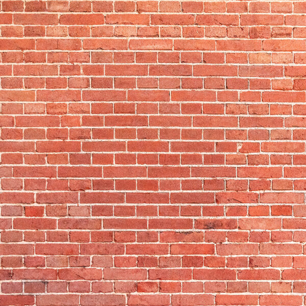 Foto murale Mur me tulla